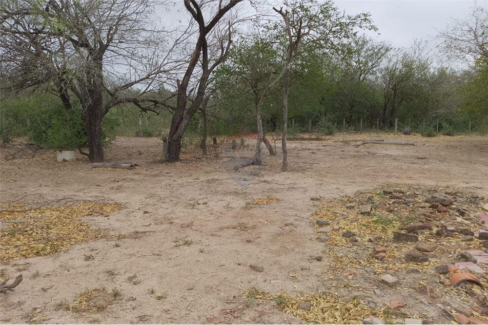 Campo en teniente esteban martinez 184 hectareas, foto 5