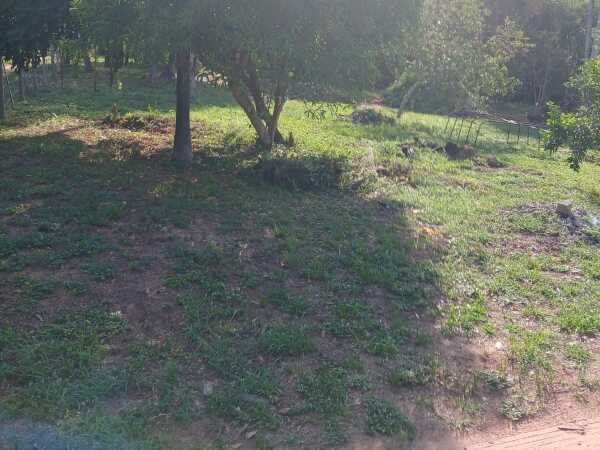5 terrenos juntos en San Bernardino, foto 2