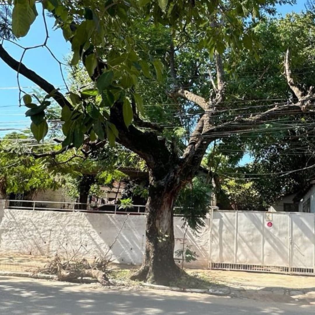 Terreno sobre la avda brasilia — foto 5