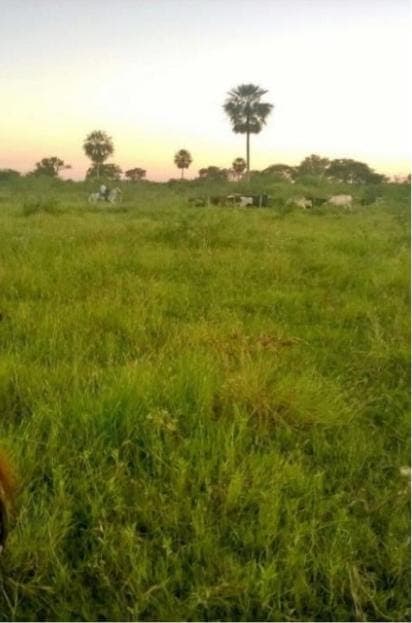 Campo de 2.135 Has, Se Encuentra en el km 130 de la Ruta 12 - CLCS7126645, foto 1