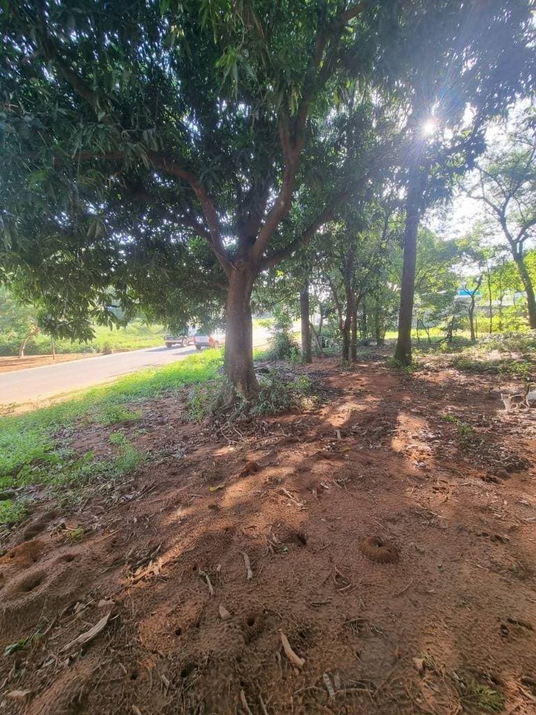 Terreno en esquina en Luque, foto 2