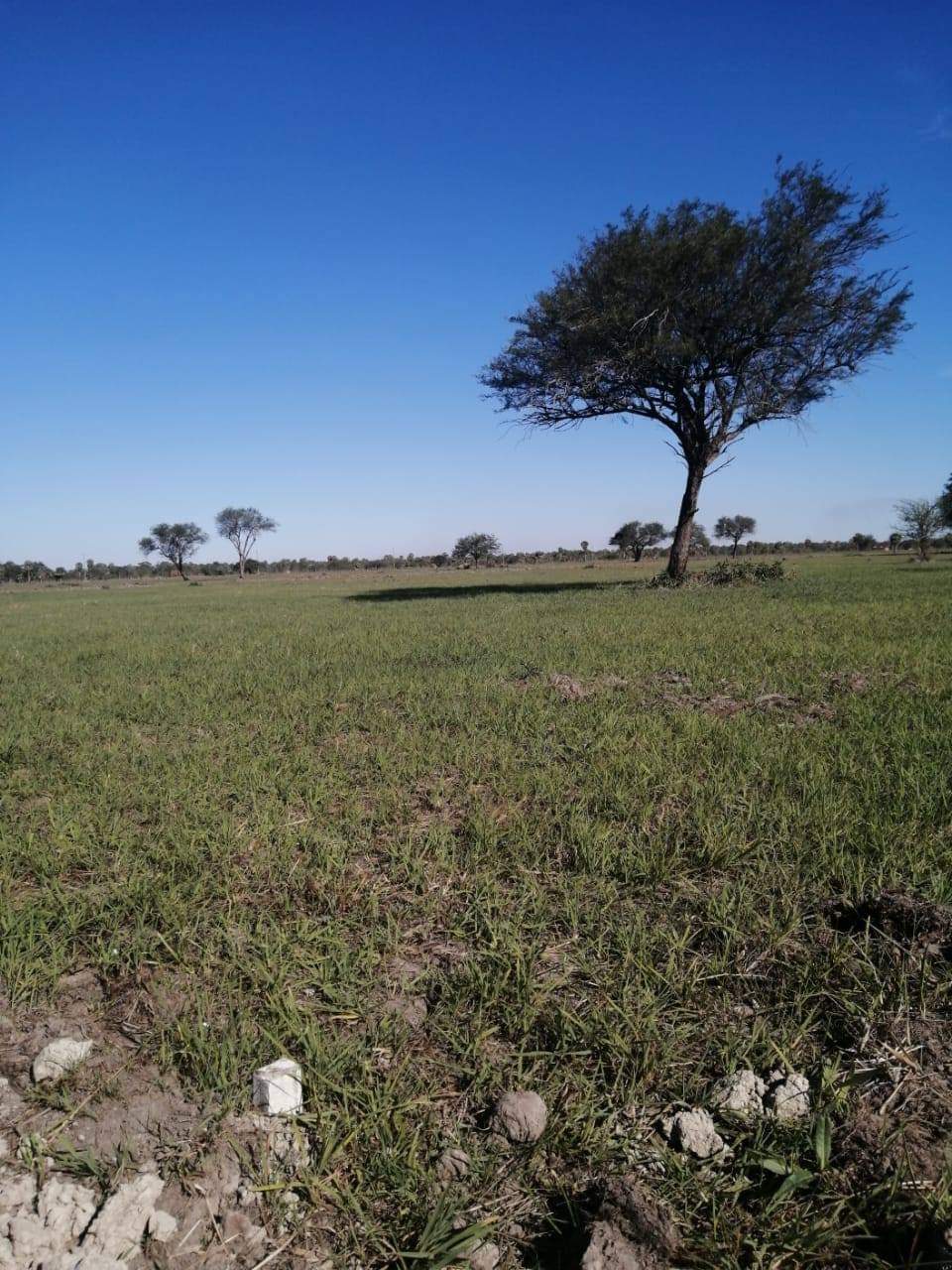 Terreno De 12 X 30 En Chaco´I — foto 2