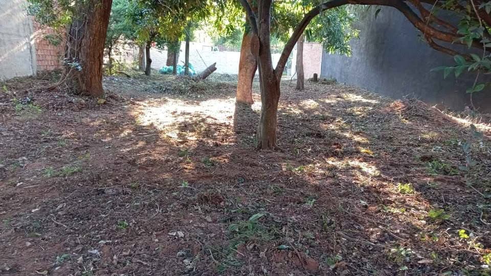 De Terreno Villa Elisa — foto 3