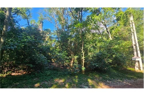 Terreno-Venta-Zona Cristóbal Colón, San Bernardino, Cordillera, foto 2