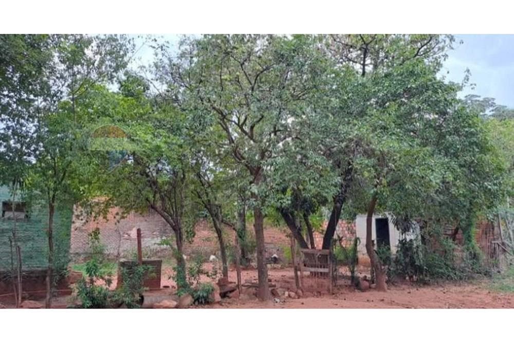 Terreno en venta en isla bogado, foto 4