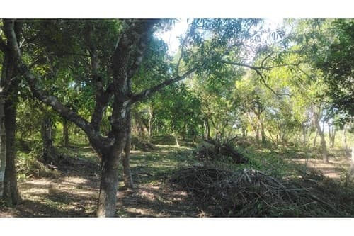 2 terrenos en loma grande - agua-y, foto 5