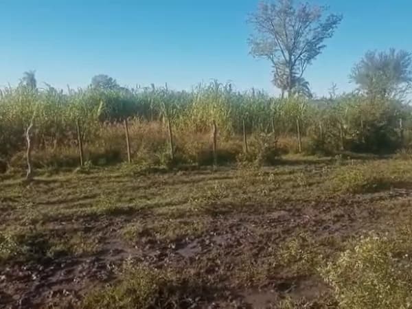⚠️vendo terreno villa oliva!, foto 3