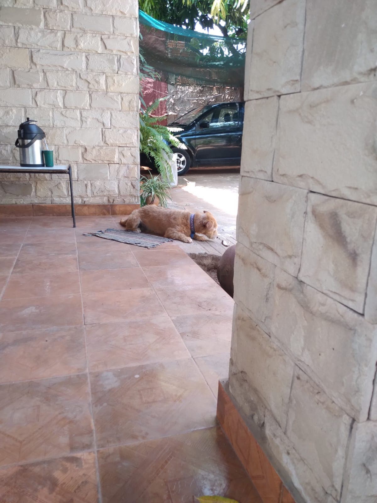 Casa En Luque En El Barrio Yka'a, foto 3