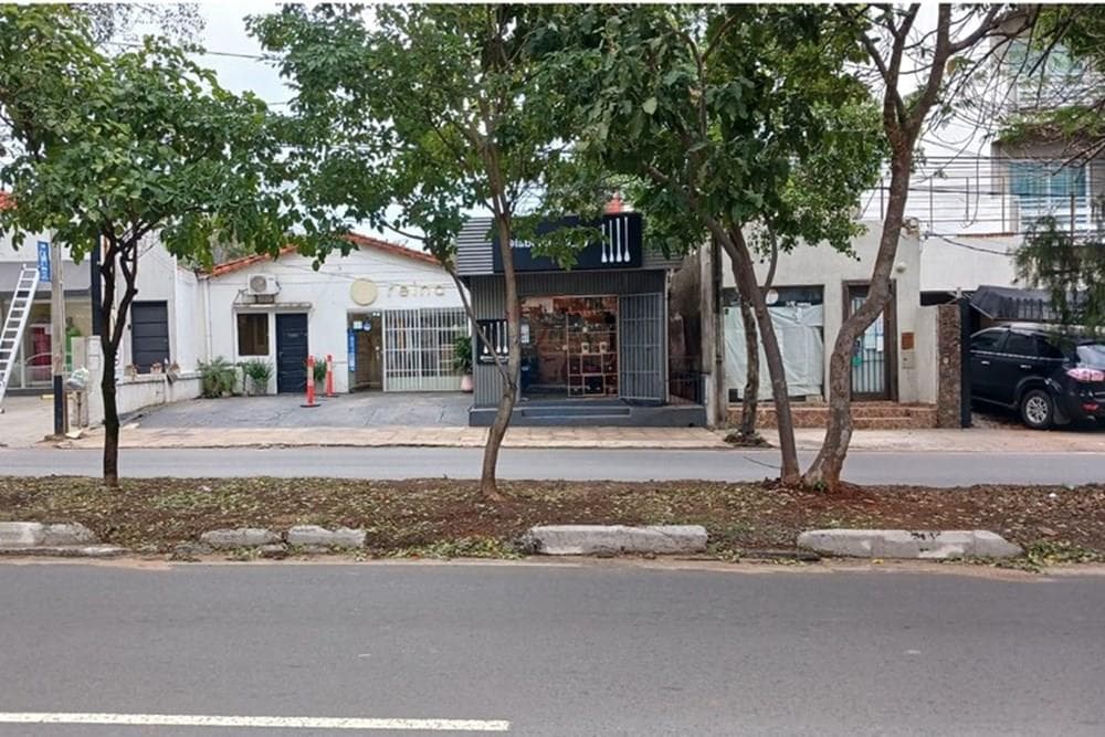 Terreno sobre av. San martin, foto 2