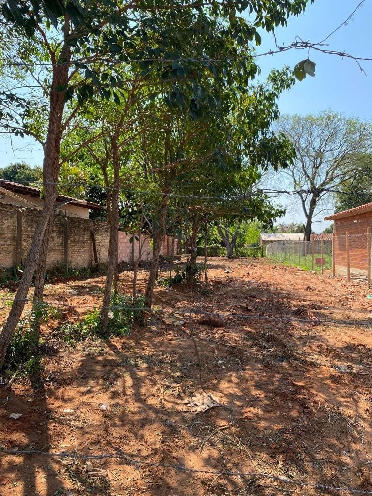 terreno en Mariano Roque Alonso, foto 3