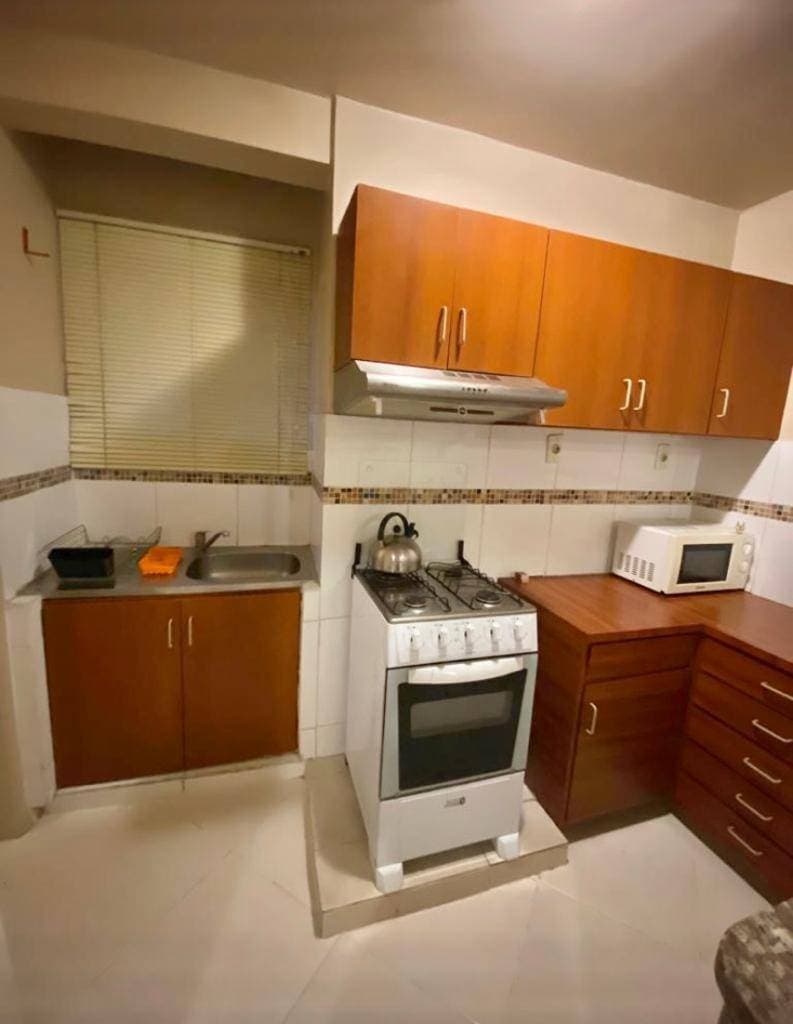 Departamento amoblado 1 dormitorio en La Encarnación, Asunción, foto 5
