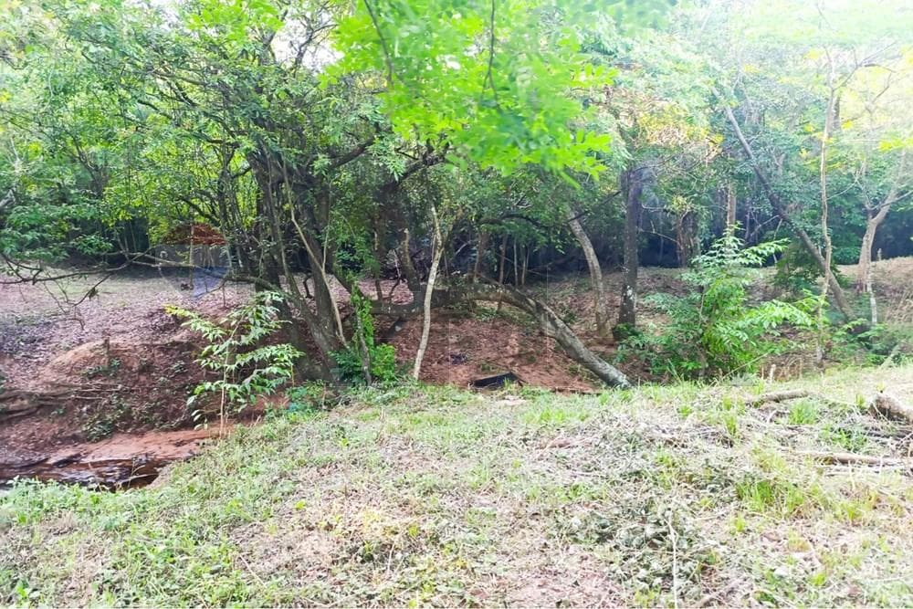Terreno en Venta en Ypané, foto 3