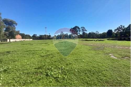 Inmueble altamente comercial, foto 4