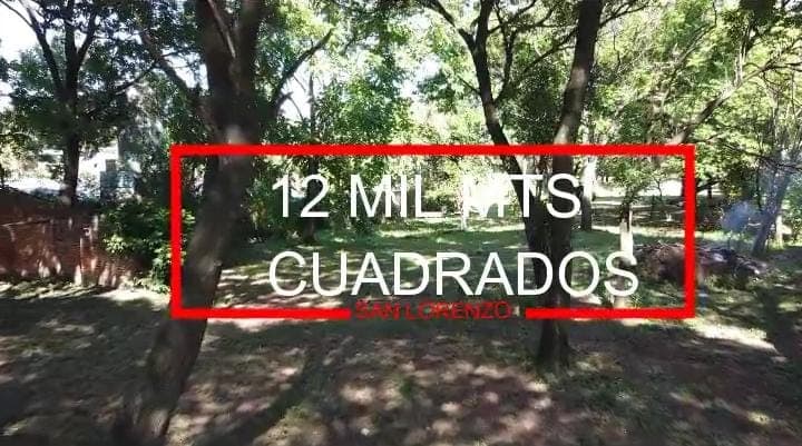 Importante terreno sobre la avda. Manuel ortiz guerrero/ San Lorenzo, foto 4