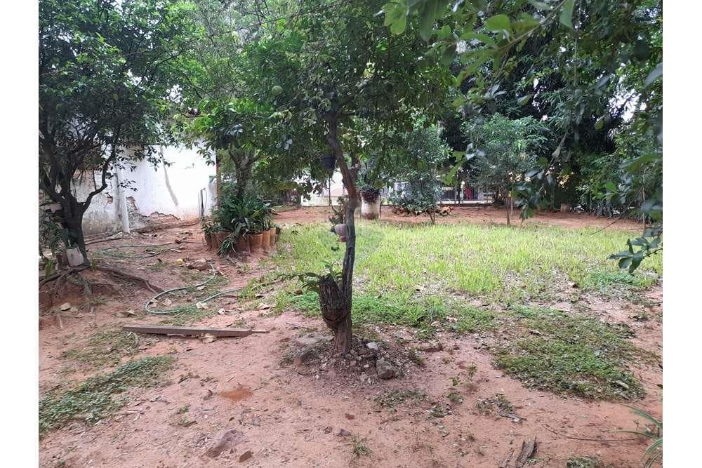 Amplio terreno en San Lorenzo sobre avenida la victoria, foto 5