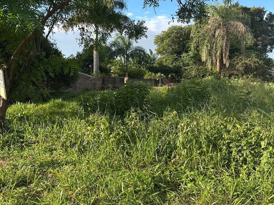 Terreno en barrio salinas Ñemby — foto 2
