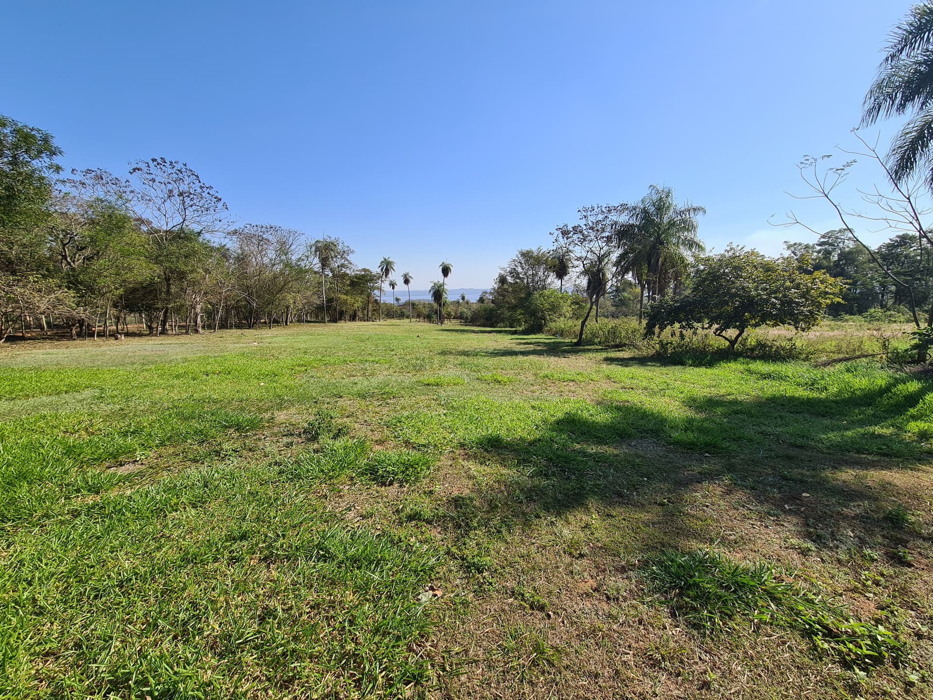 Terreno de 15200 m2 con vista al lago para inversion, foto 2