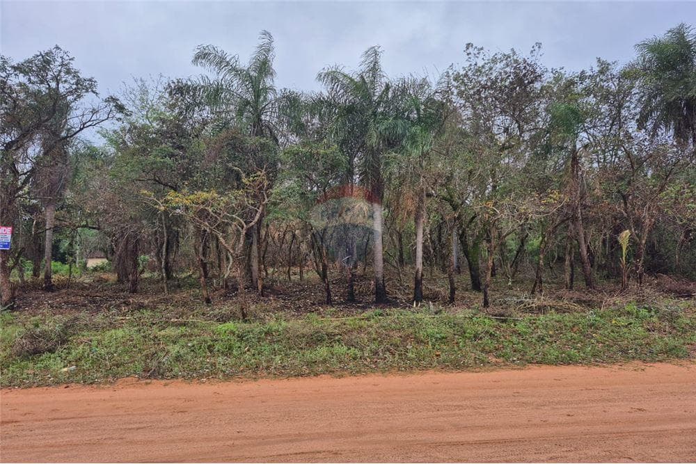 Terreno en Ypacarai — foto 4
