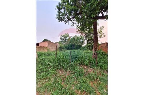 Terreno - Venta - Paraguay Central San Lorenzo, foto 3