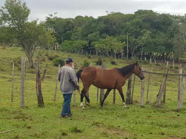 14 has en ybytimí paraguarí, foto 2