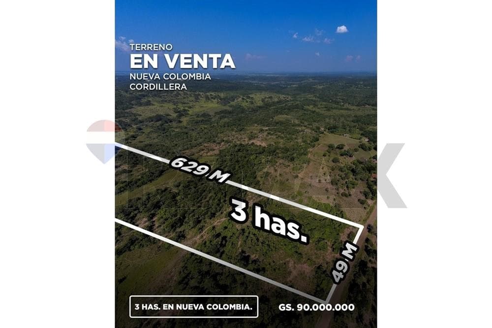 Amplio Terreno En Nueva Colombia, Cordillera, foto 2