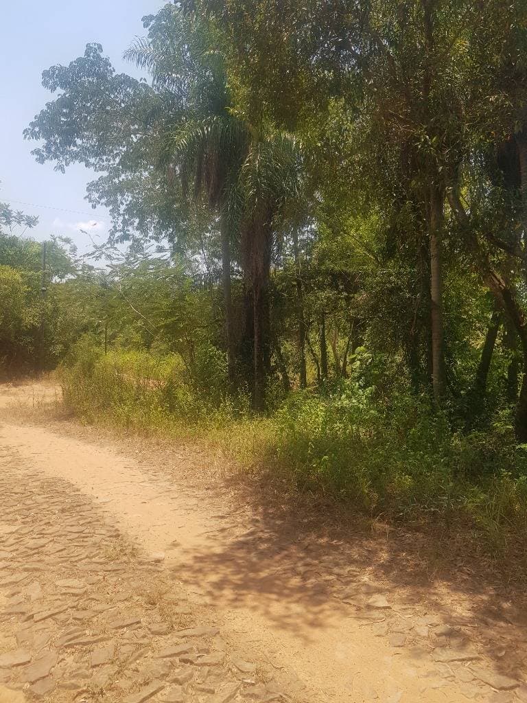 Venta terreno en san bernnardino zona ciervo cua
