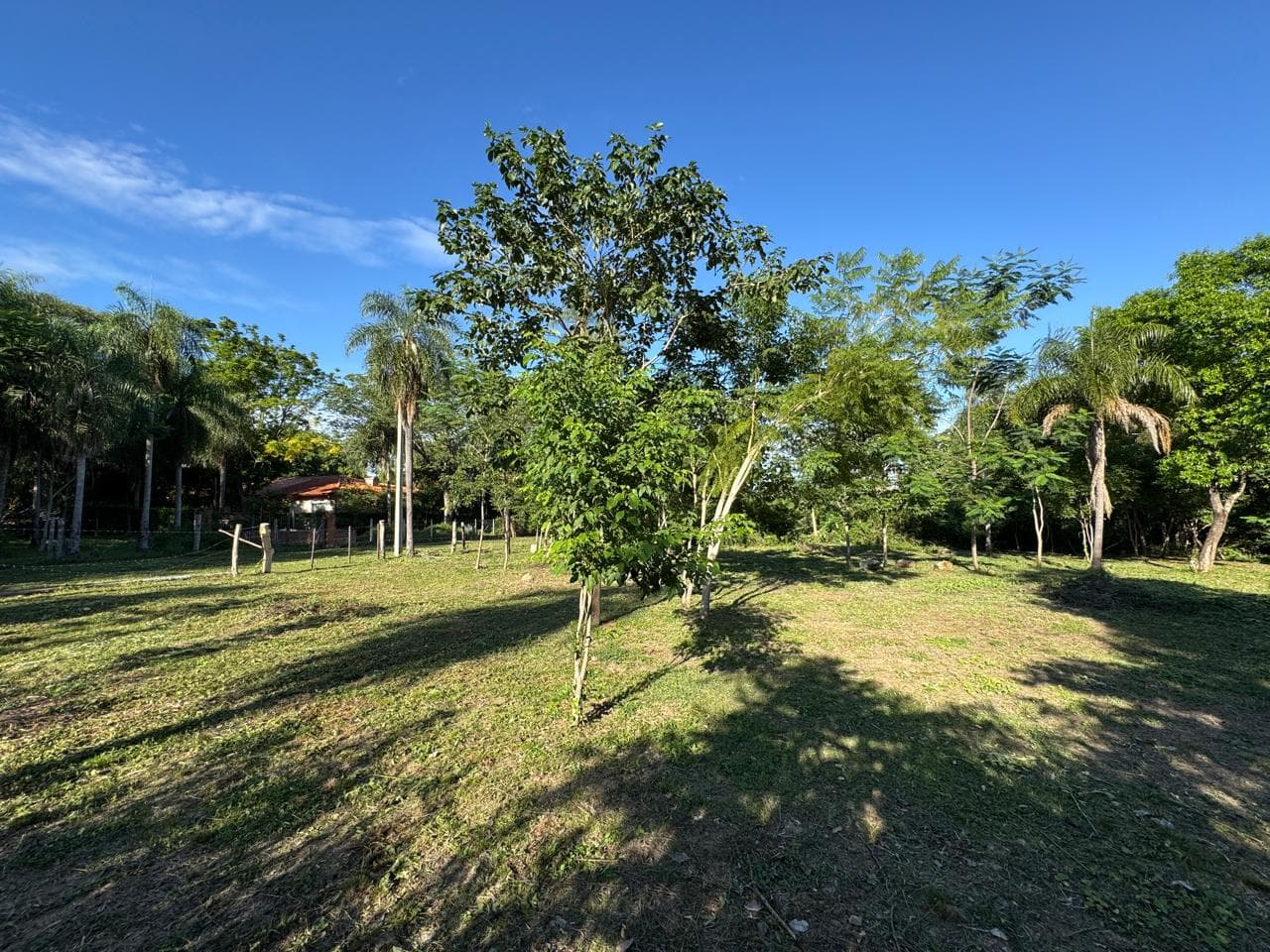 Vendo 2 terrenos en San Bernardino (juntos o separados)