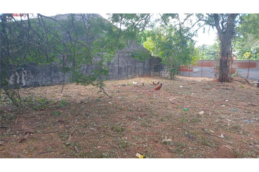 Dos terrenos juntos en San Lorenzo, foto 2