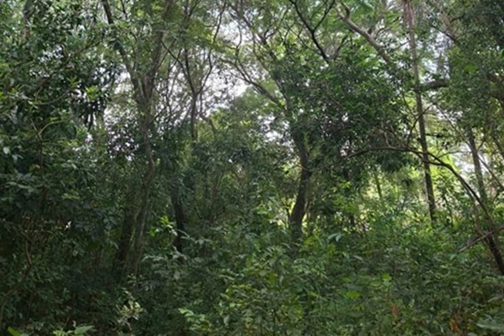Terreno-Venta-Varón Coopens y Las Residentas, Altos, Cordillera, foto 2