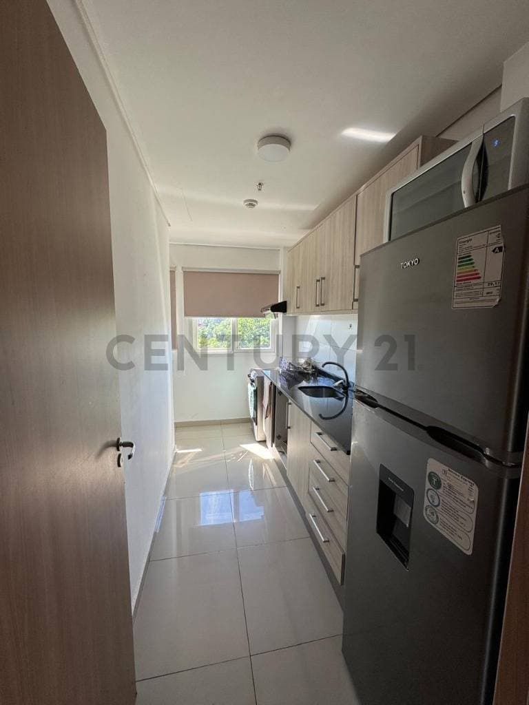 de Departamento Terminados en Mburucuyá, Asunción, foto 3
