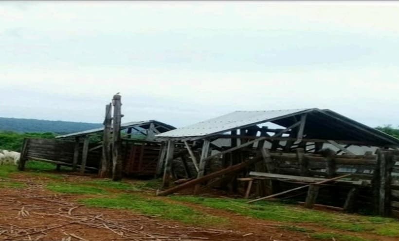 Campo de 63 Hectáreas en Alto Paraná, Los Cedrales-CLCS5607358, foto 3