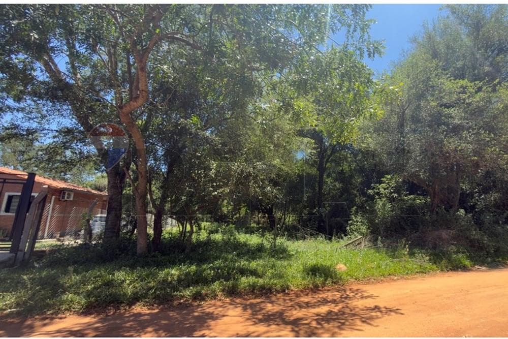 Terreno de 406.50 m² en Venta en Zárate Isla, Luque (Alta Plusvalía), foto 3