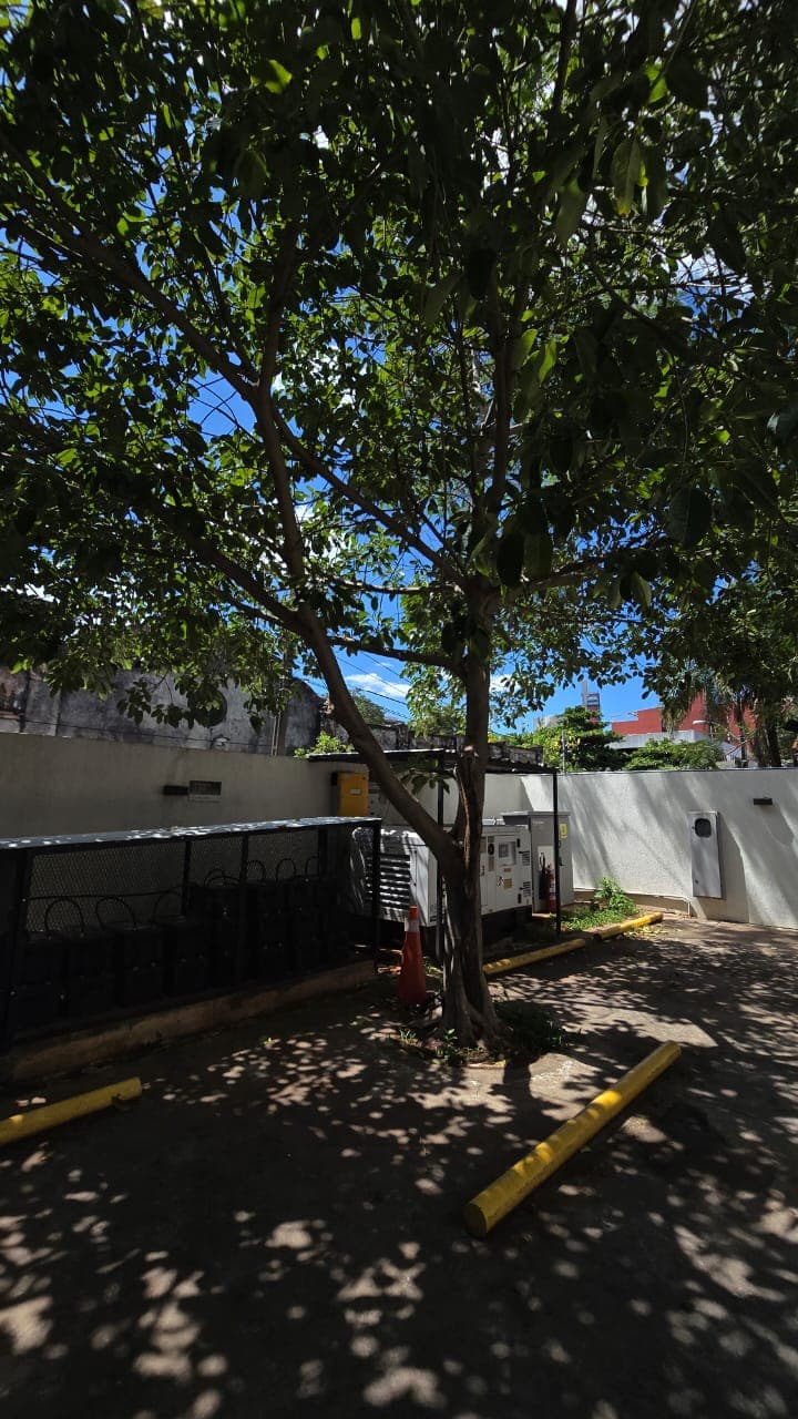 1.338 M2 En Edificio Corporativo Zona Colegio Internacional - Lof7758072, foto 3