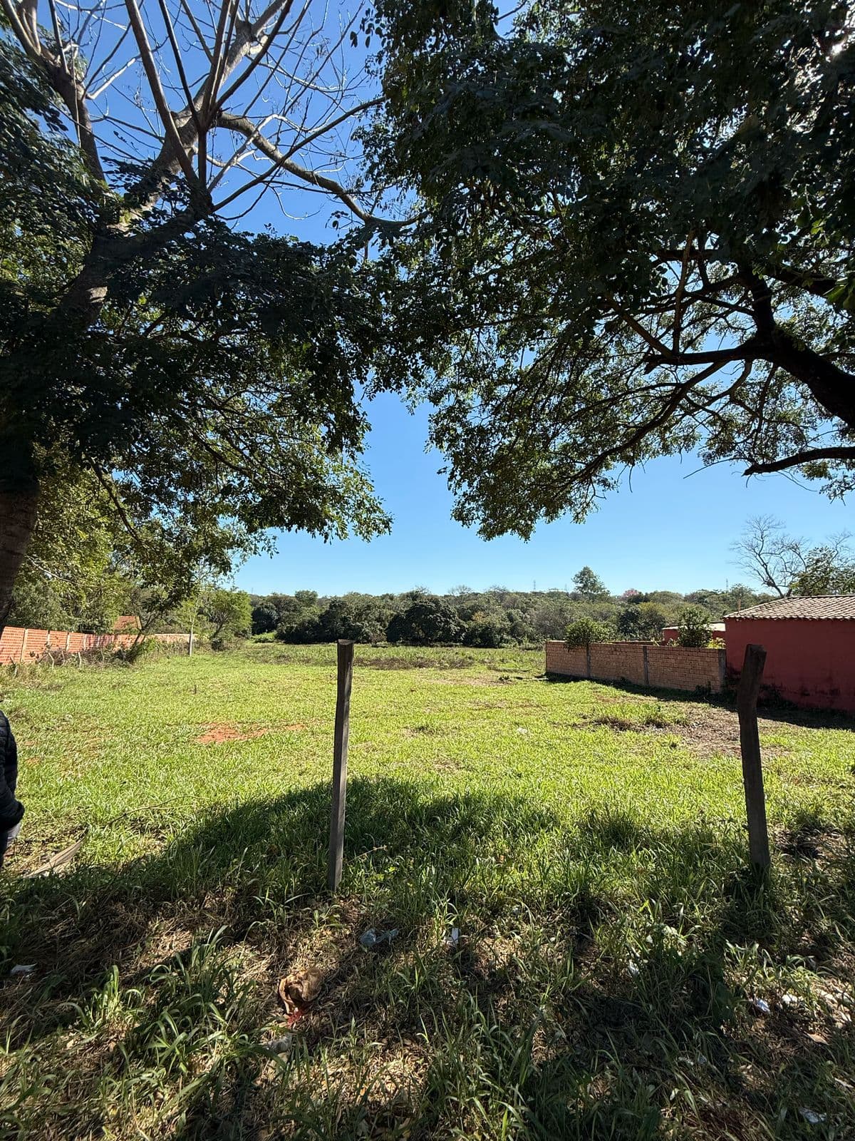 Amplia propiedad de 6.235 m2 sobre ruta Paso de Oro, Ypané, foto 2