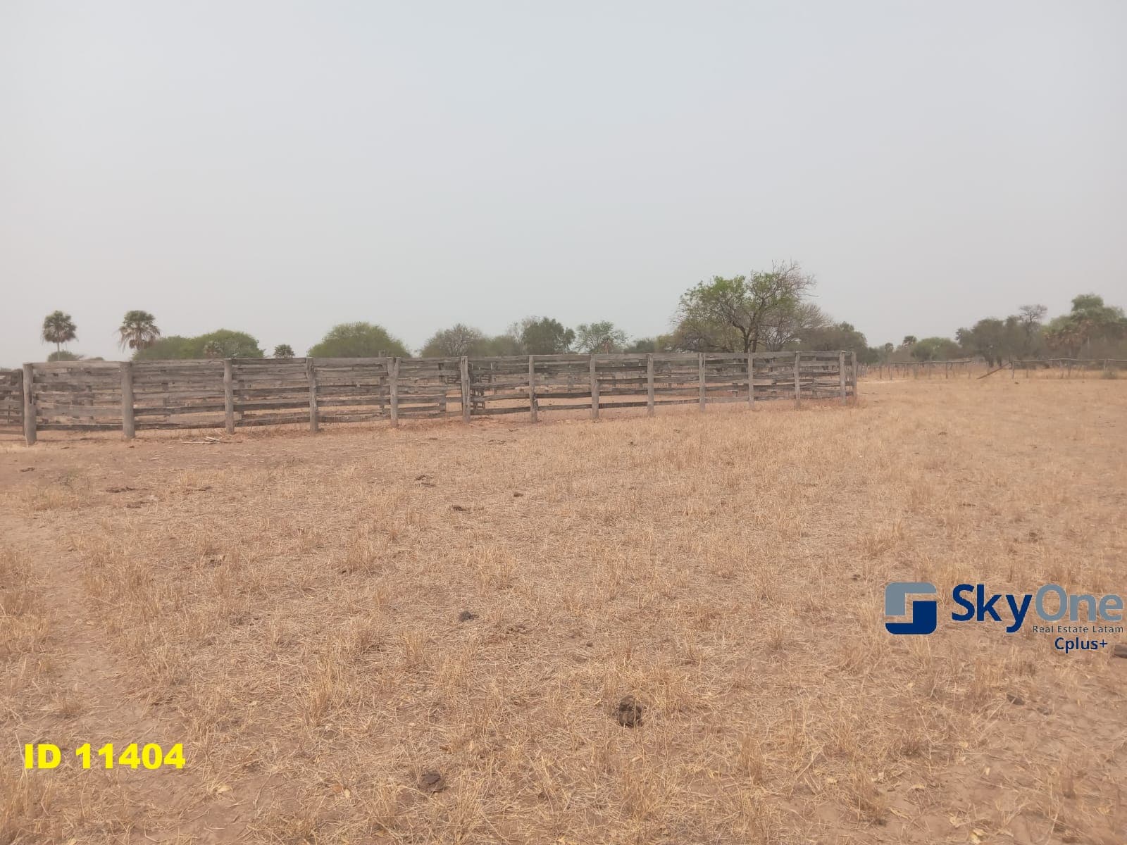 Vendo estancia en alto paraguay-fortin florida, 1600 has