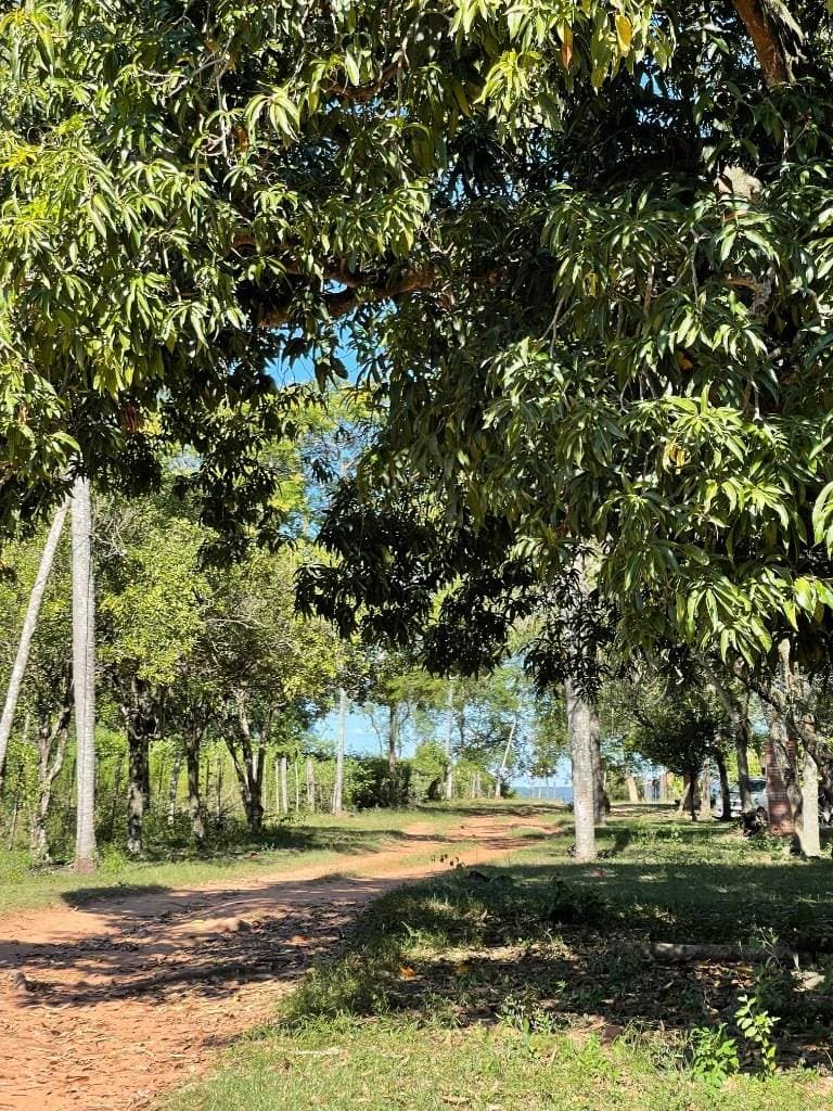 Terreno en tarumandy Luque, foto 3