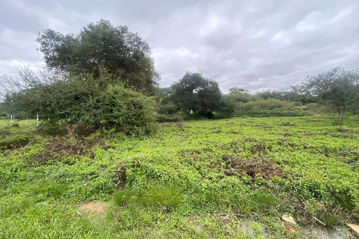 de terreno, Luque, foto 4