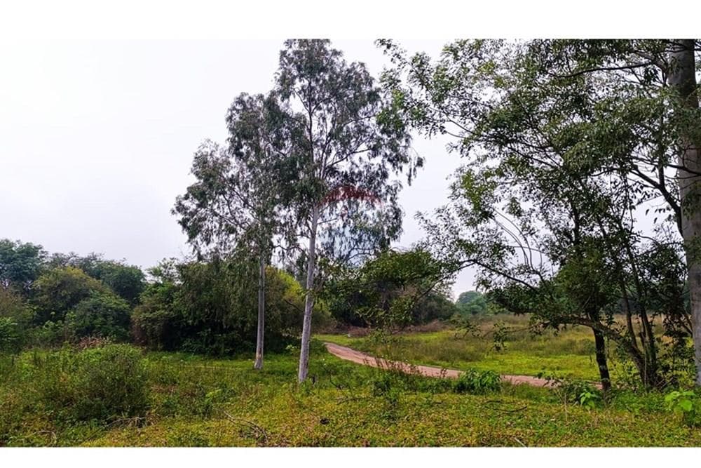 Terreno en Venta en Ypané, foto 5