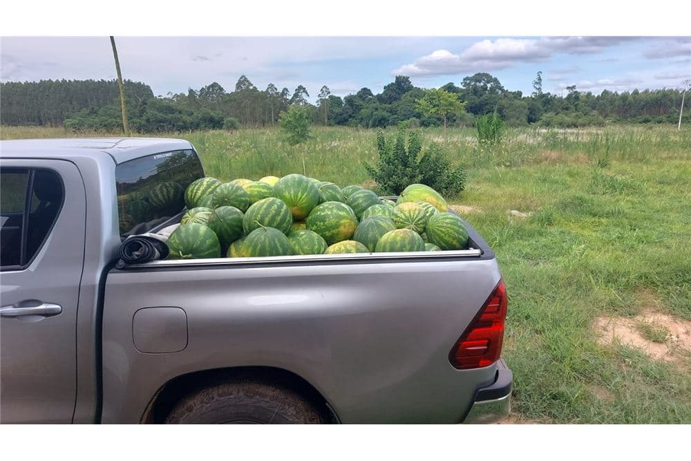 Campo productivo en san juan nepomuceno, foto 3
