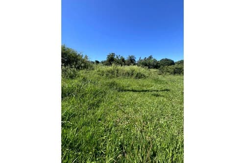 Vento amplio terreno en itaugua - arsenio erico, foto 3