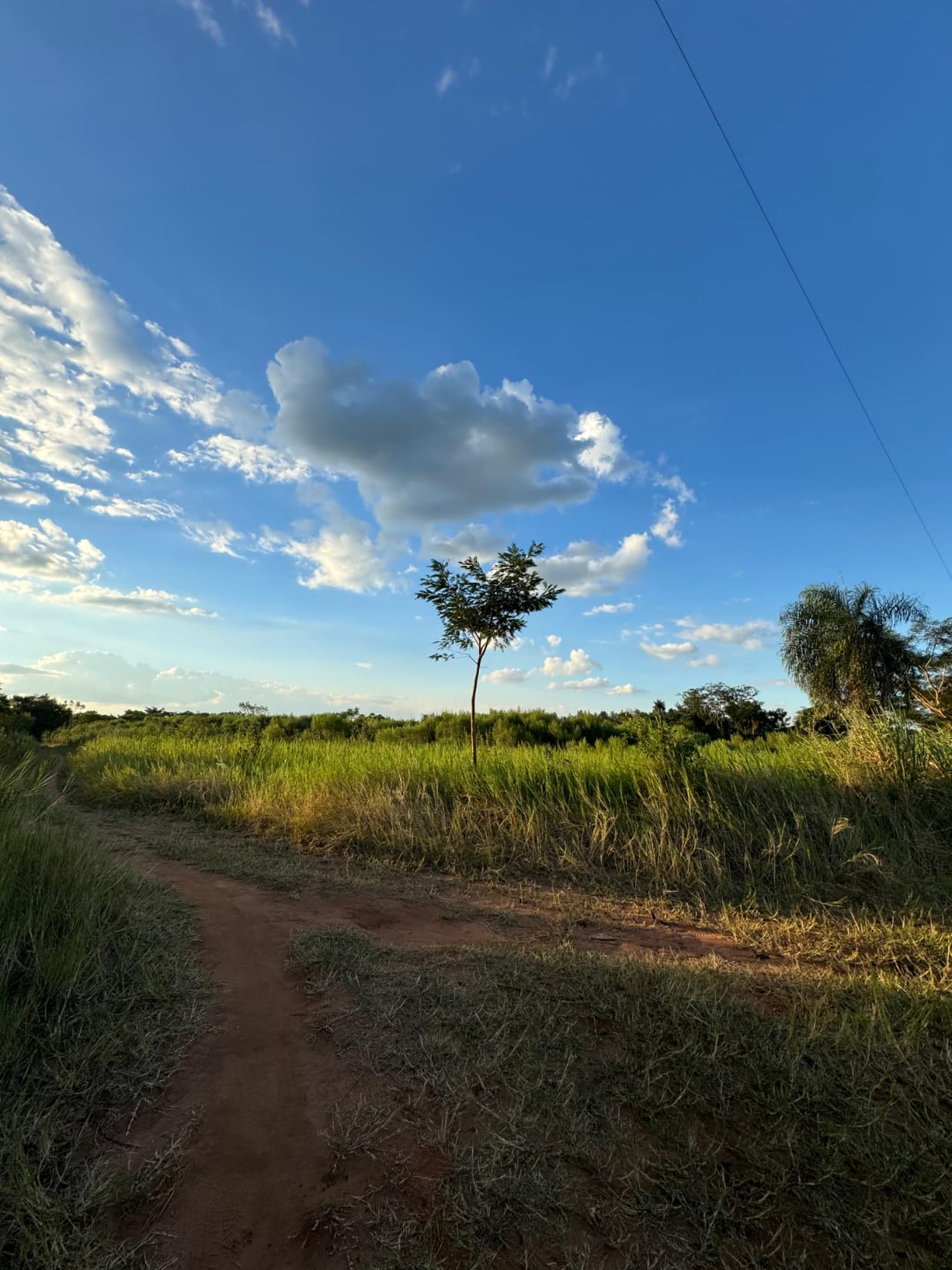 14 hectáreas en arroyos y esteros, foto 2
