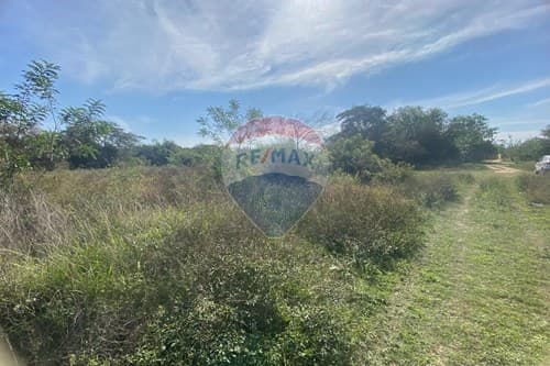 terreno residencial sin construir en Zárate Isla, Luque, foto 3