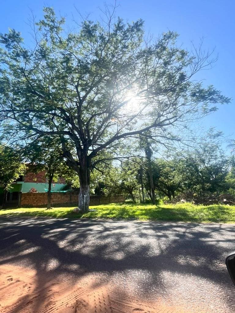 terreno amplio en Luque, foto 3