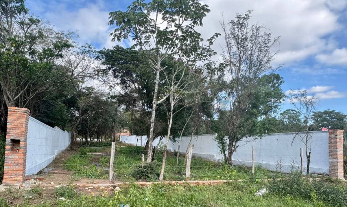 Amplio terreno en San Bernardino, foto 3