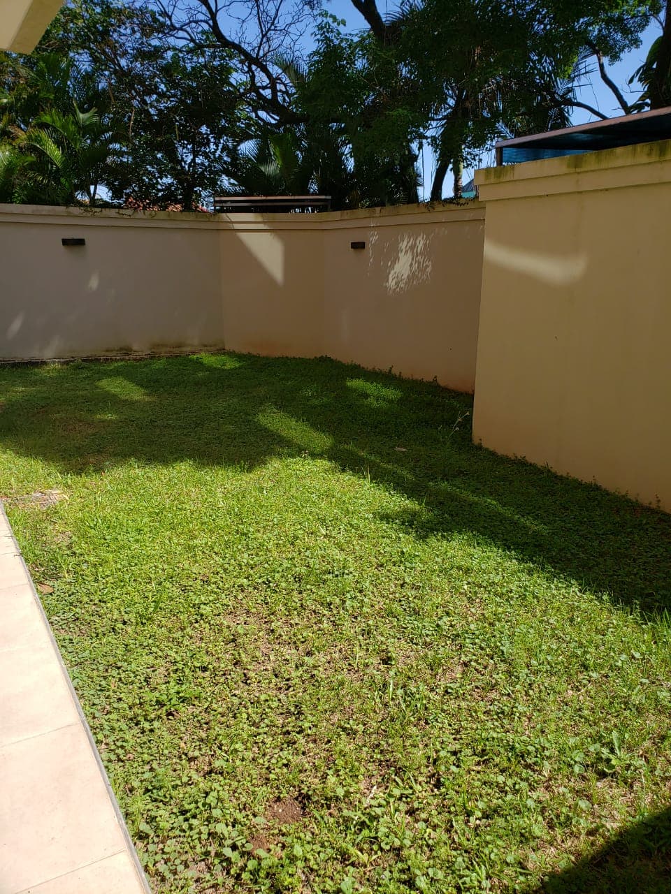 departamento en planta baja , tipo Dúplex con patio, foto 3