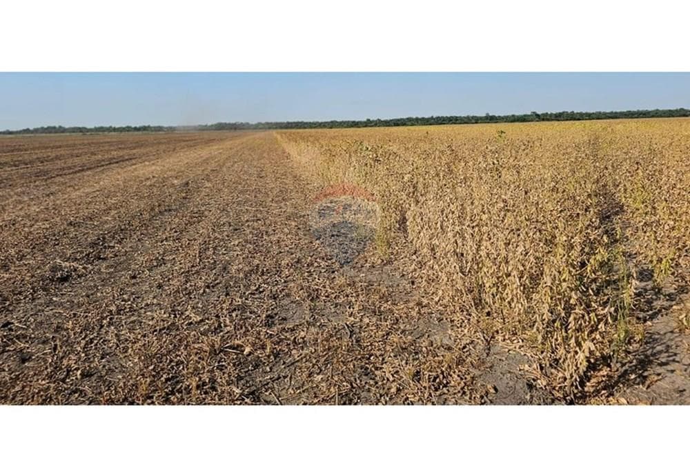 Estancia/Campo - Venta - San Pedro Del Paraná, Paraguay, foto 4