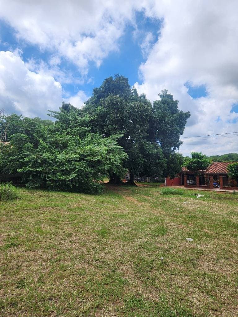 Terrenos en venta en limpio, foto 5