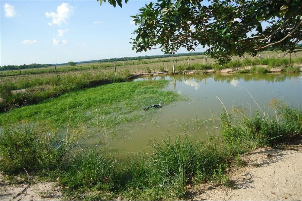 Estancia formada de 77 ha en san pedro!, foto 2