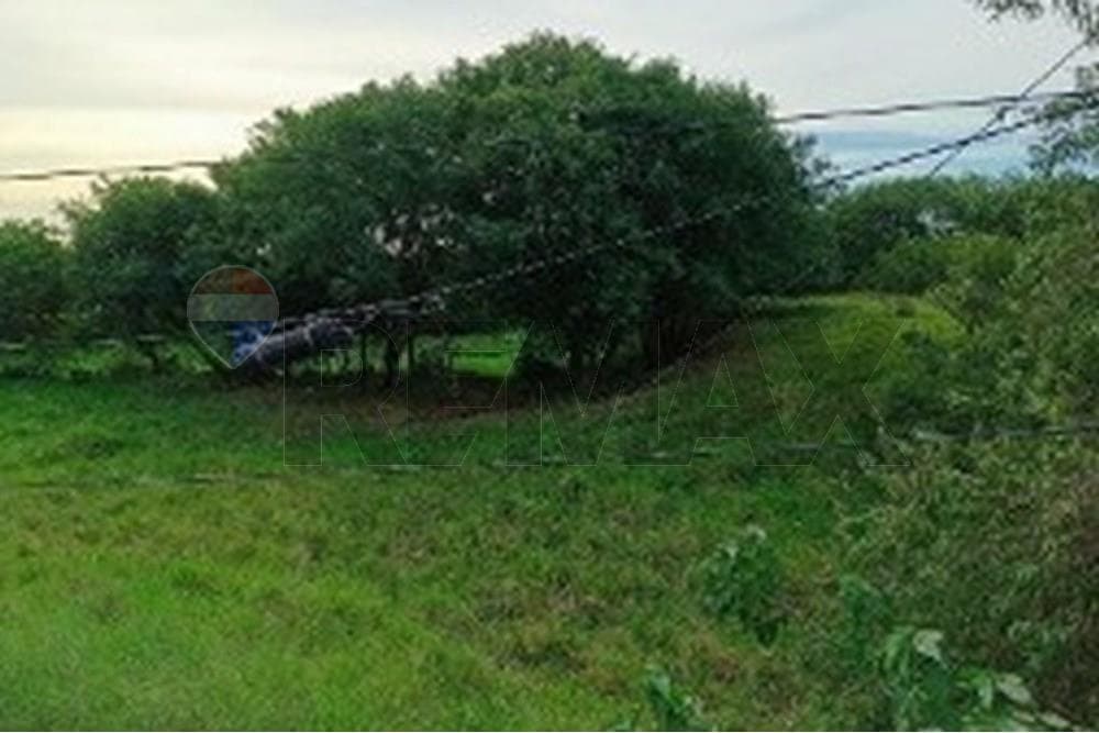 Terreno en isla aveiro el bosque - limpio, foto 3