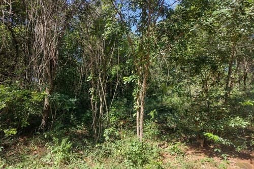 Oportunidad En Areguá – Venta De Terreno Sobre Avenida, foto 4